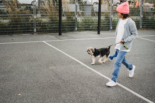 快乐的民族男孩与狗散步 · 免费素材图片