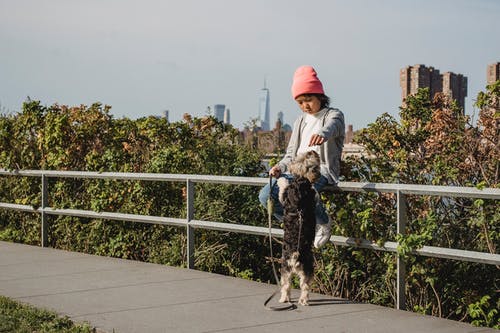 亚洲男孩与狗在公园 · 免费素材图片