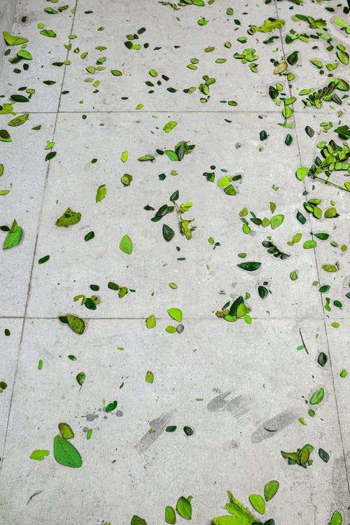 有关人行道, 元素, 光的免费素材图片