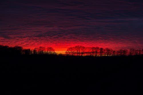 有关剪影, 天性, 天空的免费素材图片