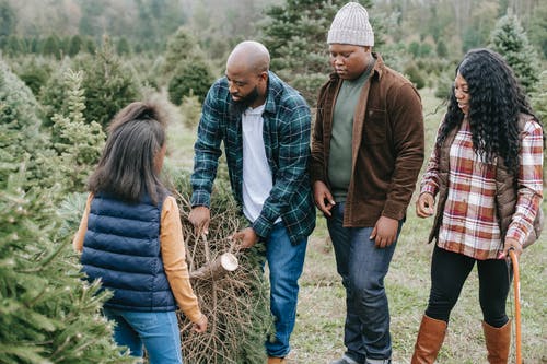黑人家庭携带云杉切过圣诞节 · 免费素材图片