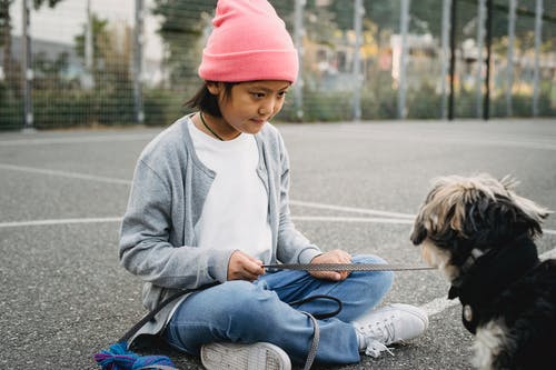亚洲男孩与纯种狗在城市运动场上 · 免费素材图片