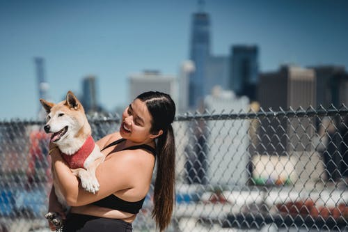 积极超重亚洲女人微笑着，展示纯种的芝犬 · 免费素材图片