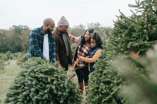 黑人家庭锯绿色茂盛的枞树 · 免费素材图片