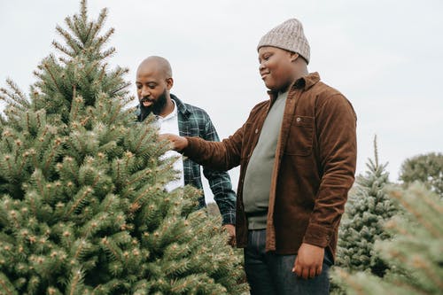 黑色的父亲和儿子采摘圣诞树 · 免费素材图片
