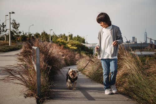 民族小男孩和狗散步 · 免费素材图片