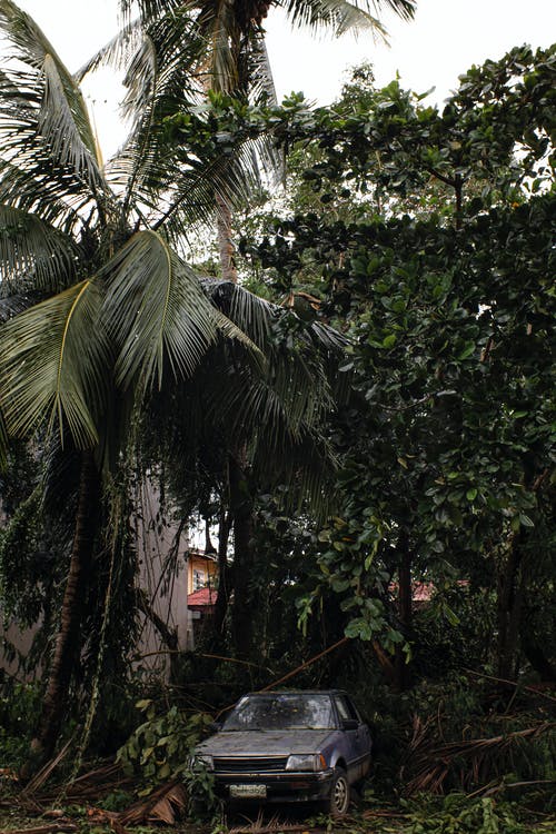 有关停, 分公司, 区域的免费素材图片