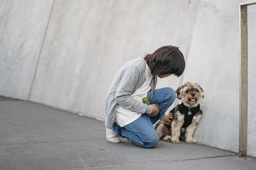 小男孩在大街上抚摸狗 · 免费素材图片