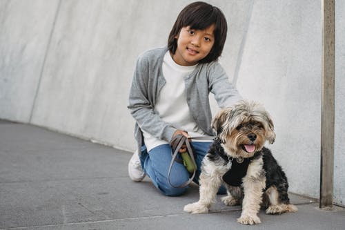 蓬松的狗的开朗亚洲男孩 · 免费素材图片