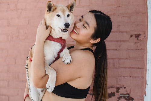 性格开朗的族裔女人爱抚着可爱的狗 · 免费素材图片