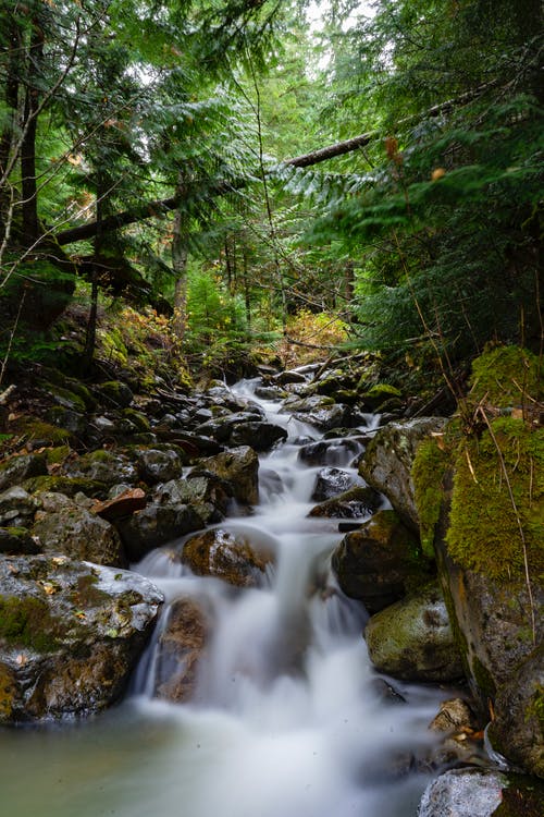 有关天性, 小河, 岩石的免费素材图片