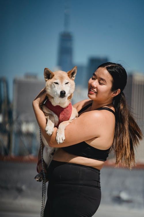 微笑加上大小的亚裔女子，显示柴犬 · 免费素材图片