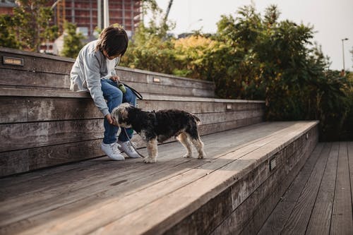 不可识别的族裔孩子与约克夏犬在城市楼梯上 · 免费素材图片