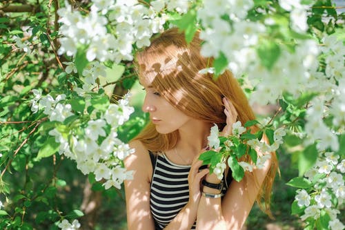 有关不情绪化, 休闲, 公园的免费素材图片