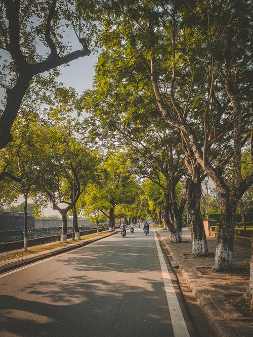 有关垂直拍摄, 巷道, 户外的免费素材图片