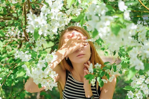 有关不情绪化, 休闲, 公园的免费素材图片