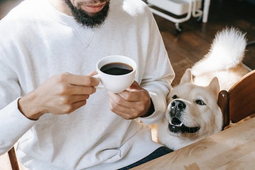 拿着白色陶瓷杯子的白色毛线衣的人 · 免费素材图片