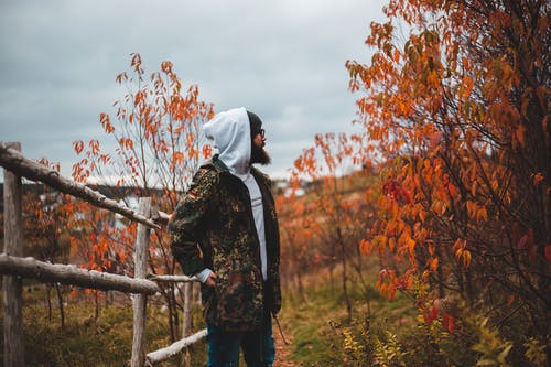 有关下落, 享受, 人的免费素材图片