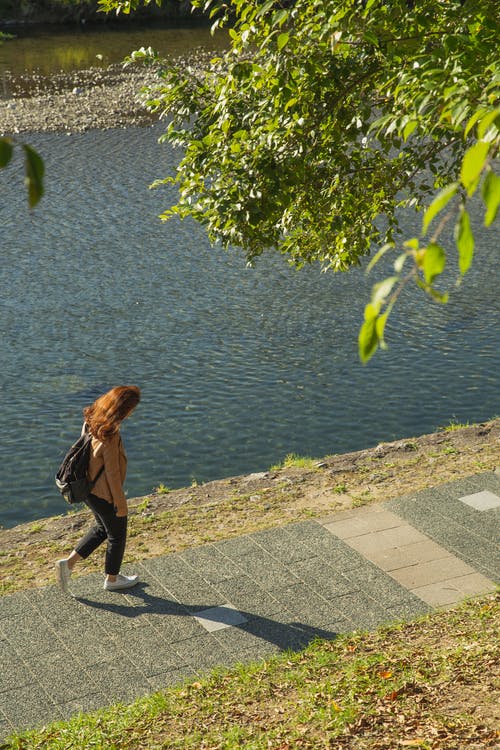 有关休闲, 假日, 假期的免费素材图片