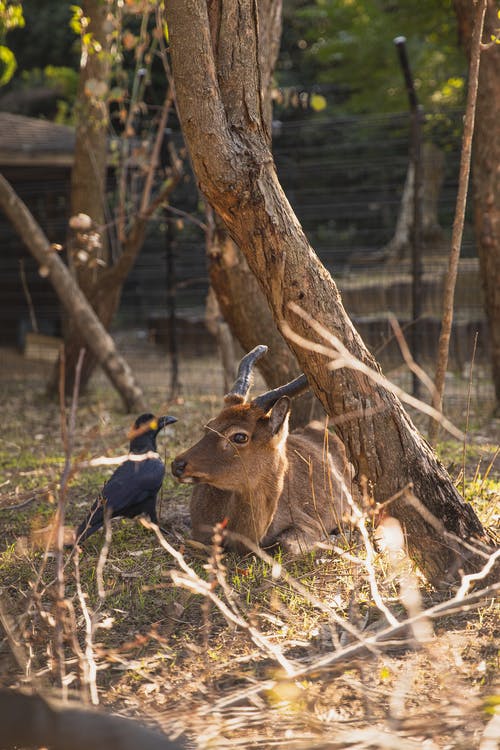 有关re, 一起, 休息的免费素材图片