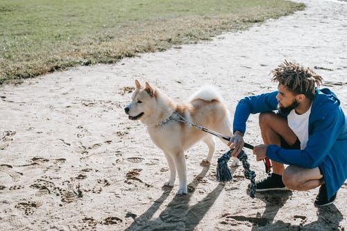 有关一起, 人, 伴侣的免费素材图片