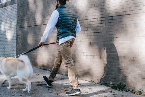 有关不露面, 人, 人行道的免费素材图片