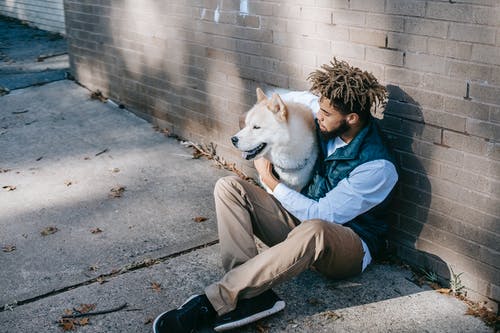 坐在白色和棕色的狗旁边的蓝夹克和棕色裤子的人 · 免费素材图片