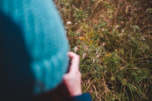 有关3C用品, 不露面, 休闲的免费素材图片