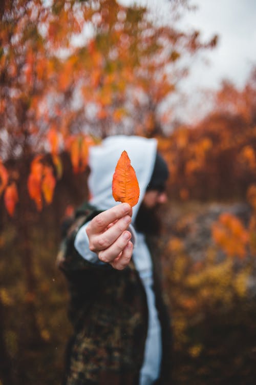 有关下落, 人, 侧面图的免费素材图片