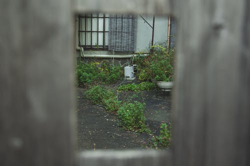 有关冷静, 和平的, 和谐的免费素材图片