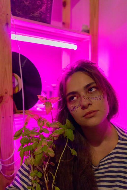 有关个性, 个性, 光的免费素材图片