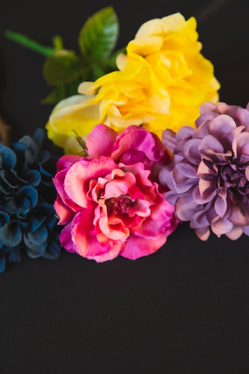 有关不一样, 事件, 人造的免费素材图片