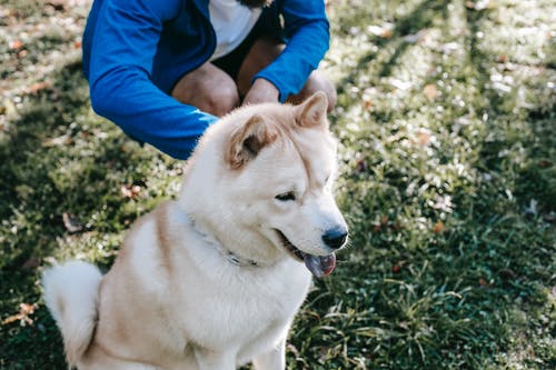 有关一起, 不露面, 享受的免费素材图片