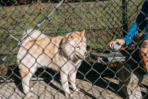 有关一起, 不露面, 人的免费素材图片
