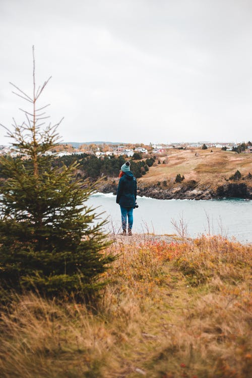 有关享受, 休息, 佩服的免费素材图片