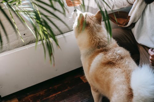 有关一起, 人, 伴侣的免费素材图片