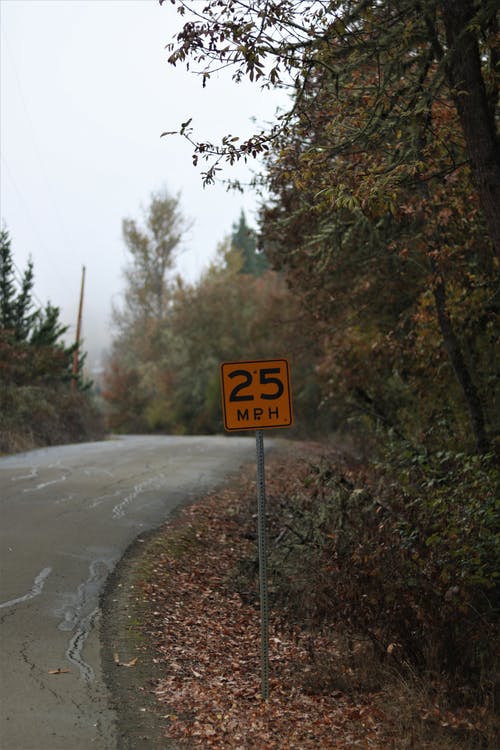 有关垂直拍摄, 大雾天, 天性的免费素材图片