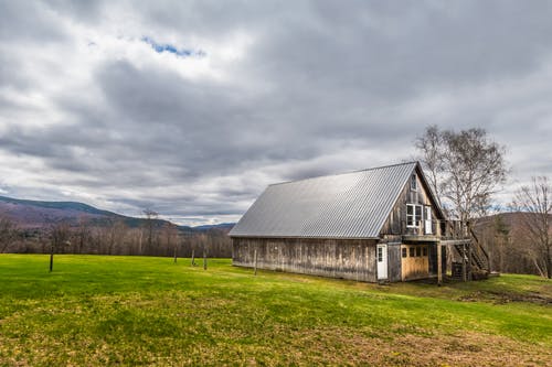 有关住, 冷静, 叶儿的免费素材图片
