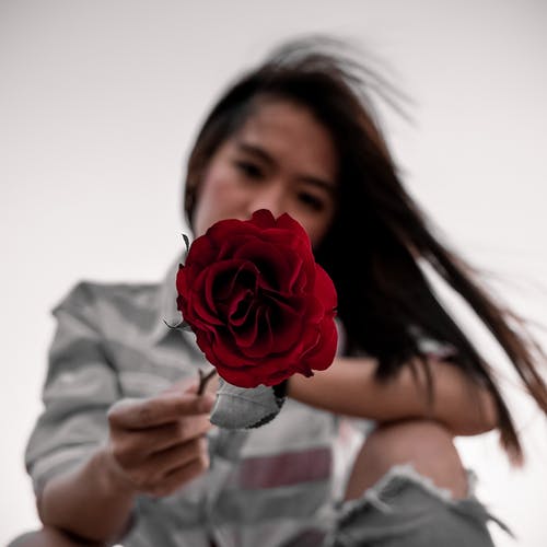 有关举手, 从下面, 伸手的免费素材图片