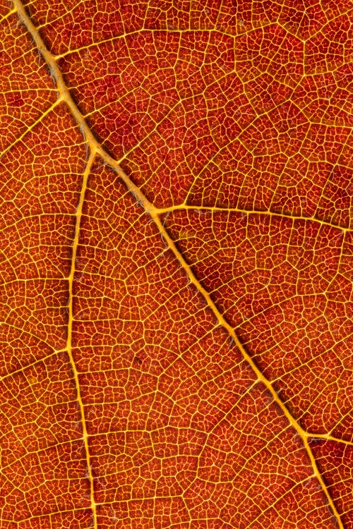 有关Copyspace, 下落, 不均匀的的免费素材图片