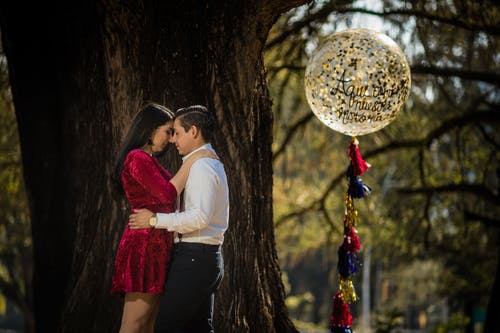 有关一对, 一起, 大树的免费素材图片