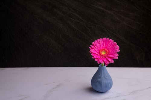 有关Copyspace, 两种颜色背景, 优雅的免费素材图片