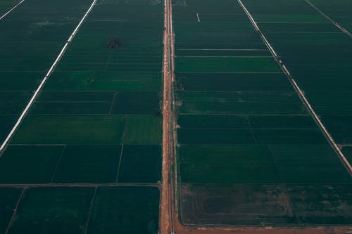 有关冷静, 和平的, 和谐的免费素材图片