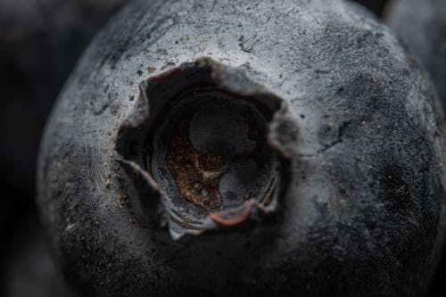 有关健康, 冷, 冻结的的免费素材图片