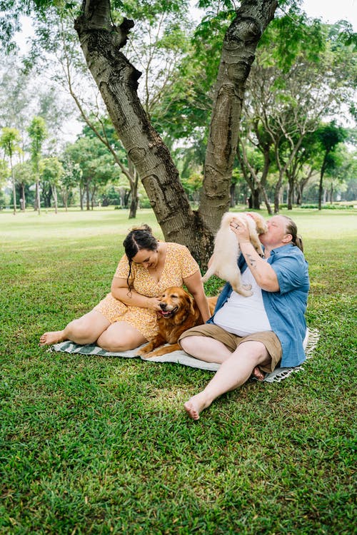 蓝色背心的女人坐在棕色短涂层的狗旁边的绿草田期间 · 免费素材图片