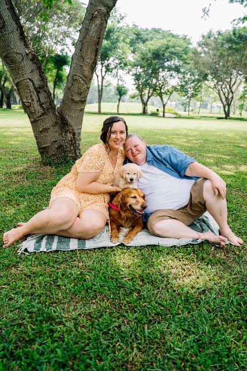 男人和女人坐在棕色的狗旁边的草地上 · 免费素材图片