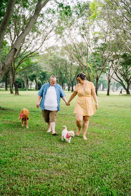 蓝色polo衫的男人站在米色礼服的女人旁边，拿着白色短涂狗 · 免费素材图片