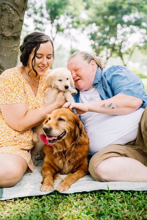 男人和女人坐在棕色的狗旁边 · 免费素材图片