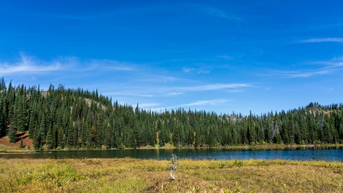 有关天性, 山, 景观的免费素材图片