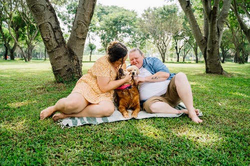 坐在棕色的狗旁边的绿草场上的棕色裙子的女人 · 免费素材图片